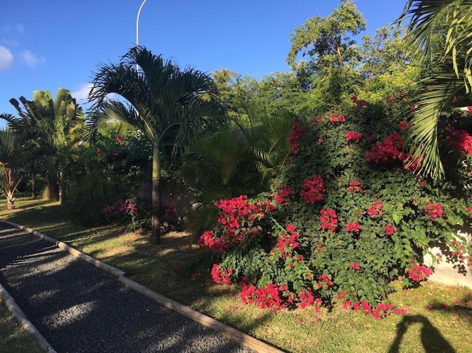 Villa La Belle Creole Saint-Francois  Exteriör bild